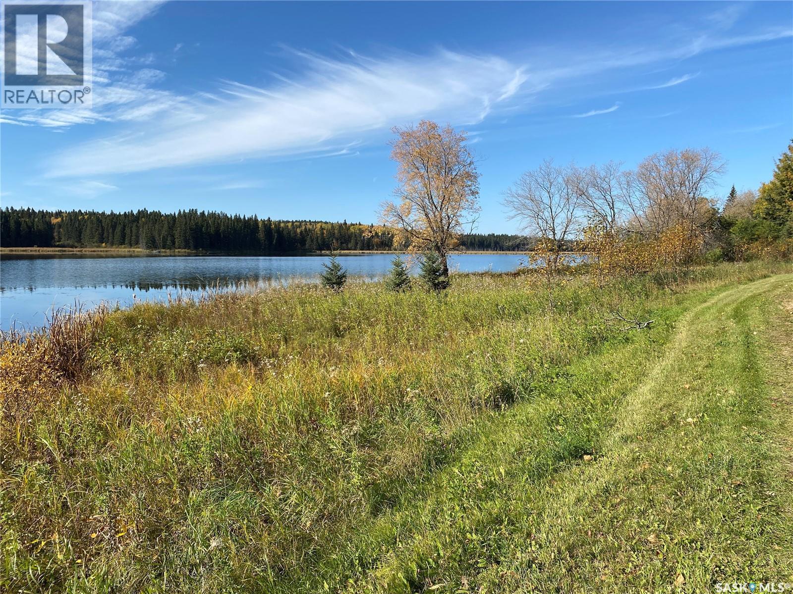338 Johnson Avenue, Big River, Saskatchewan  S0J 0E0 - Photo 12 - SK035986