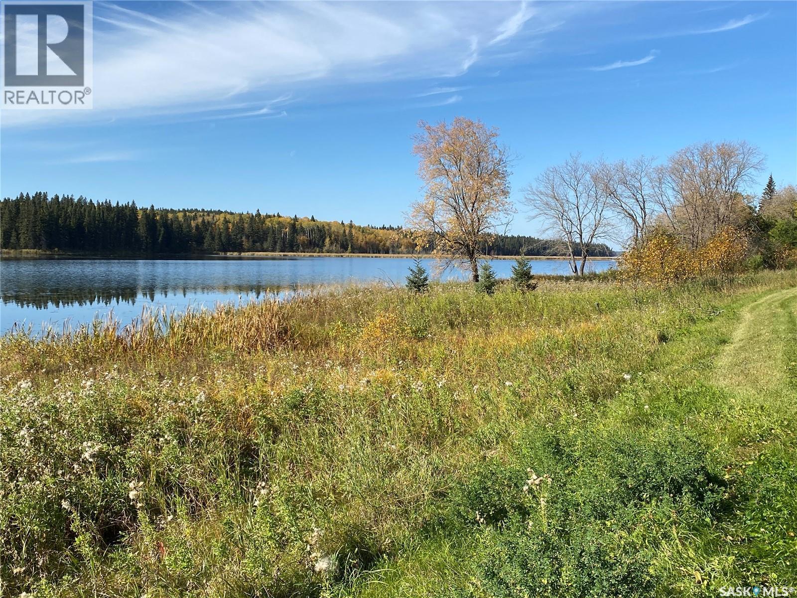 338 Johnson Avenue, Big River, Saskatchewan  S0J 0E0 - Photo 13 - SK035986