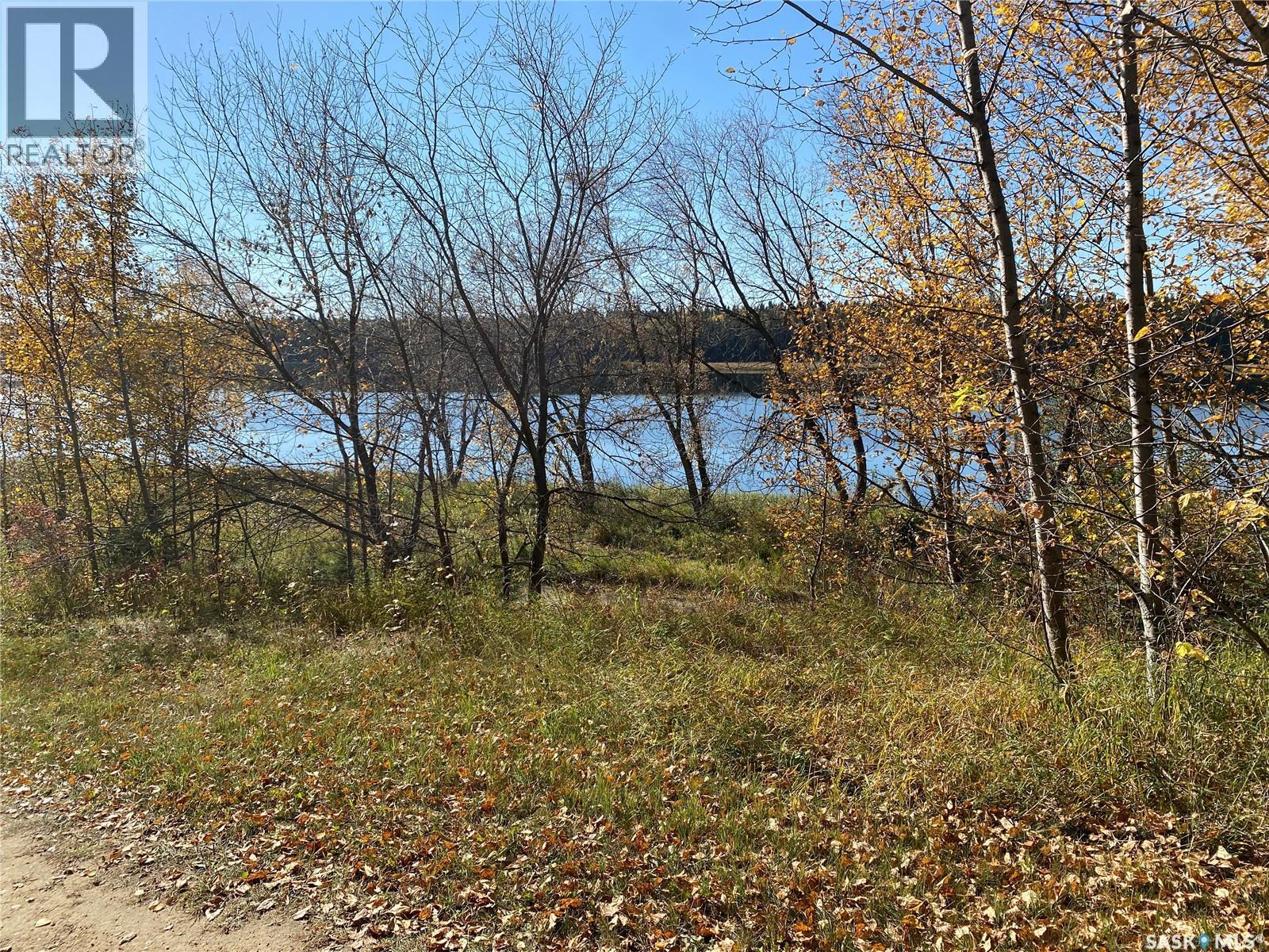 338 Johnson Avenue, Big River, Saskatchewan  S0J 0E0 - Photo 3 - SK035986