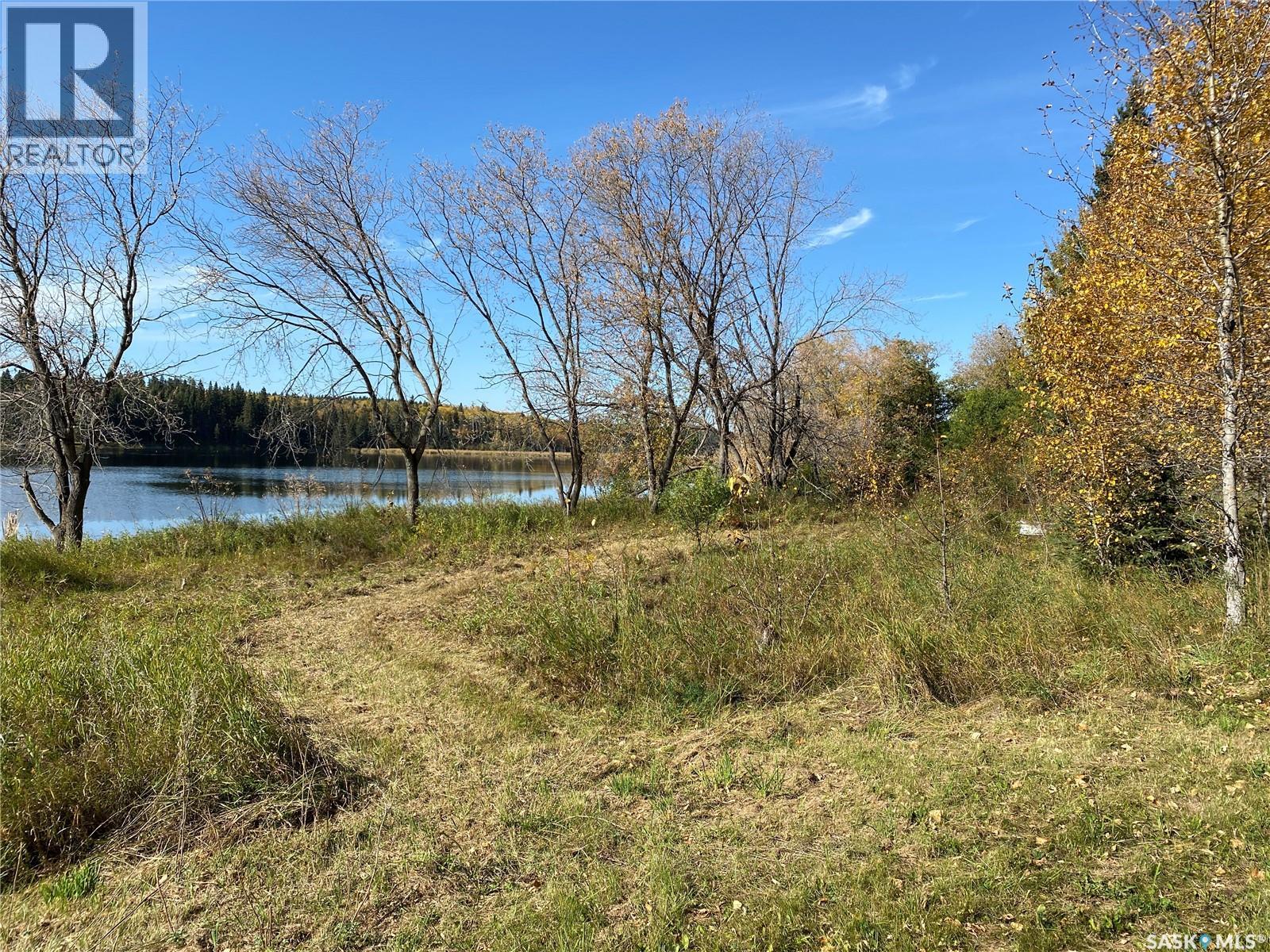 338 Johnson Avenue, Big River, Saskatchewan  S0J 0E0 - Photo 4 - SK035986