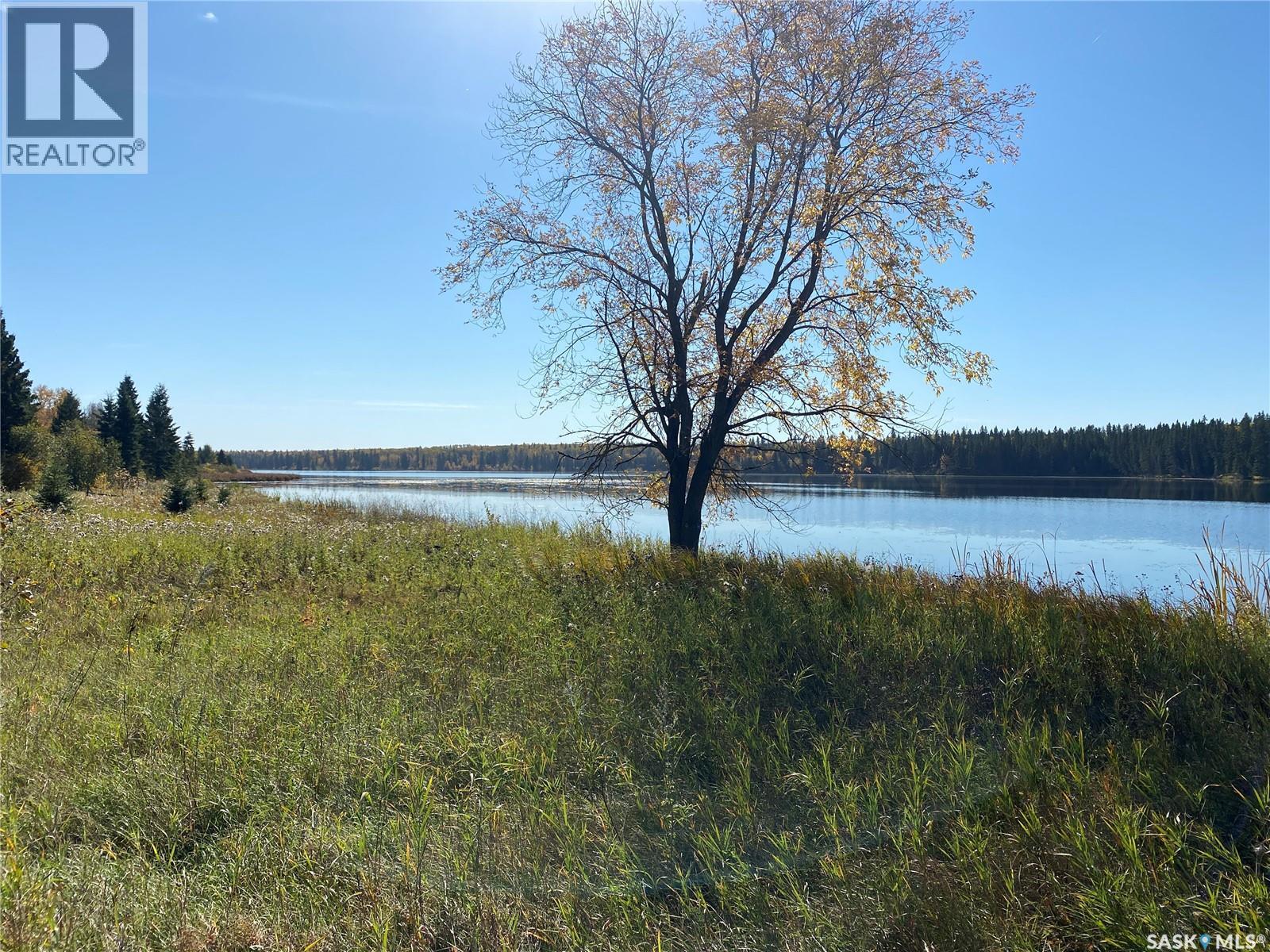 338 Johnson Avenue, Big River, Saskatchewan  S0J 0E0 - Photo 5 - SK035986