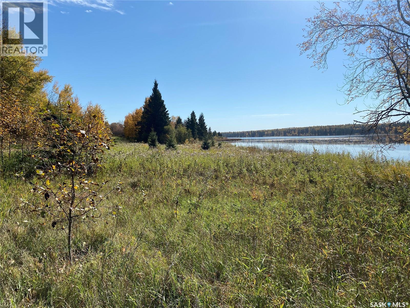 338 Johnson Avenue, Big River, Saskatchewan  S0J 0E0 - Photo 6 - SK035986