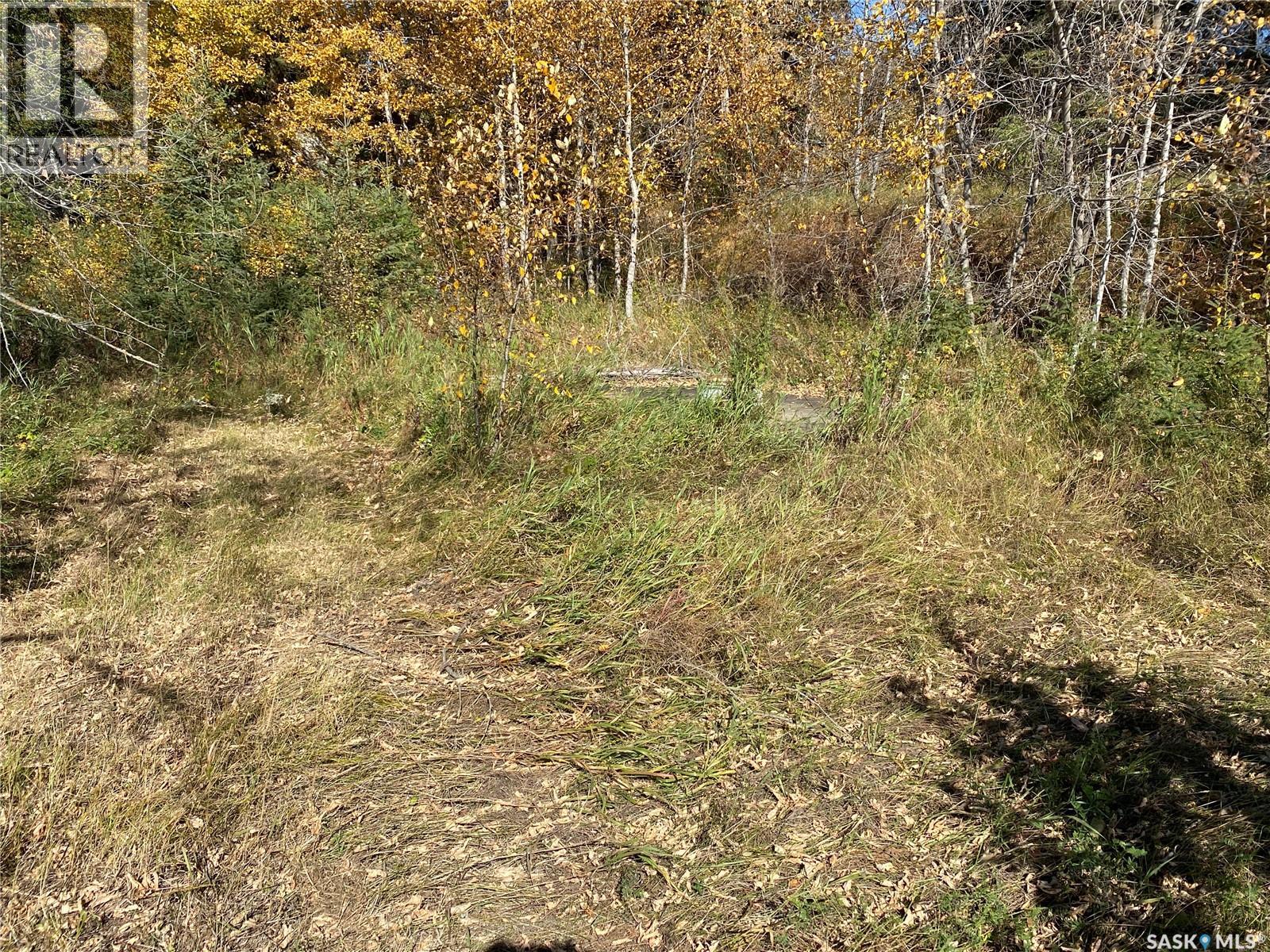 338 Johnson Avenue, Big River, Saskatchewan  S0J 0E0 - Photo 9 - SK035986
