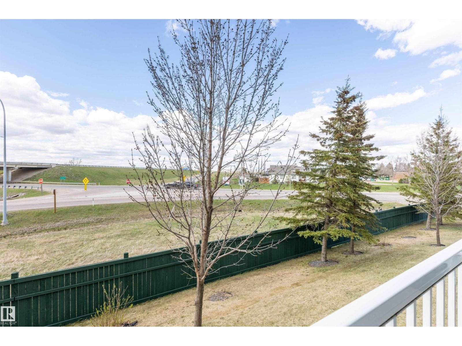 #224 9910 107 St, Morinville, Alberta  T8R 0A3 - Photo 25 - E4487629