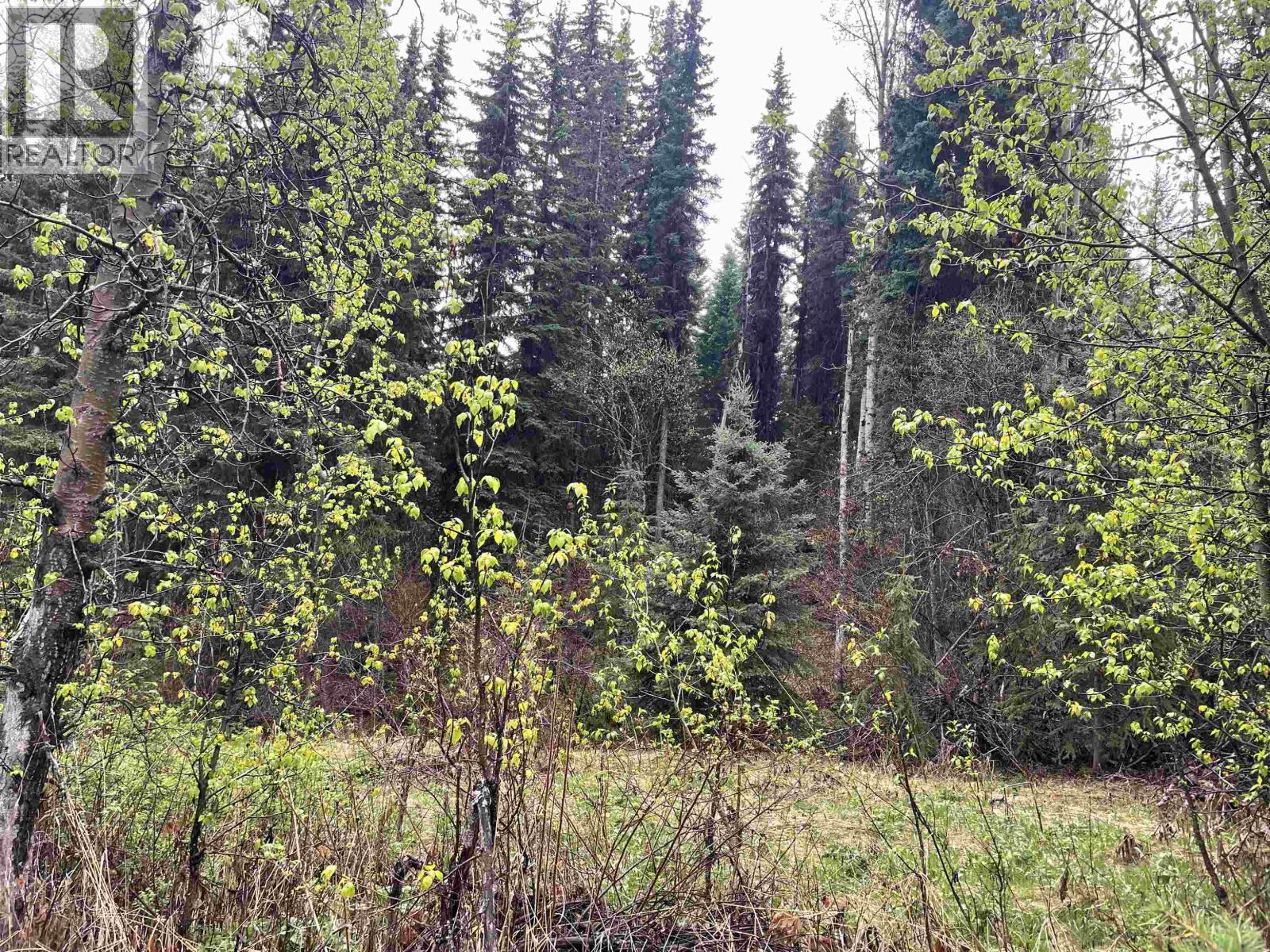 Lot 1 Little Fort 24 Highway, Bridge Lake, British Columbia V0K 1E0 - Photo 26 - R3118252