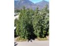 PARCEL C COLUMBIA Street, New Denver, BC V0G 1S0