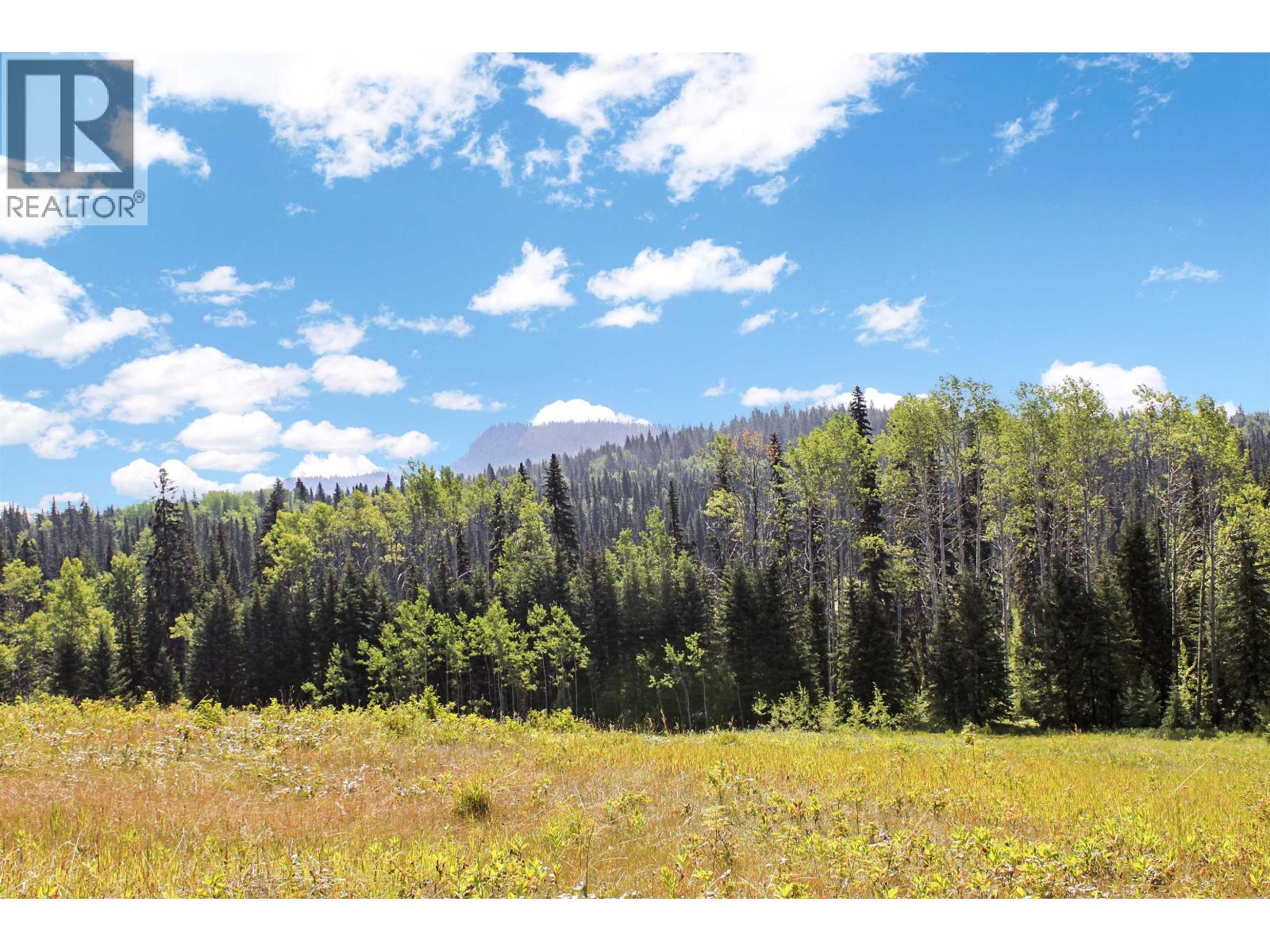 Lot 1 Little Fort 24 Highway, Bridge Lake, British Columbia V0K 1E0 - Photo 1 - R3118252