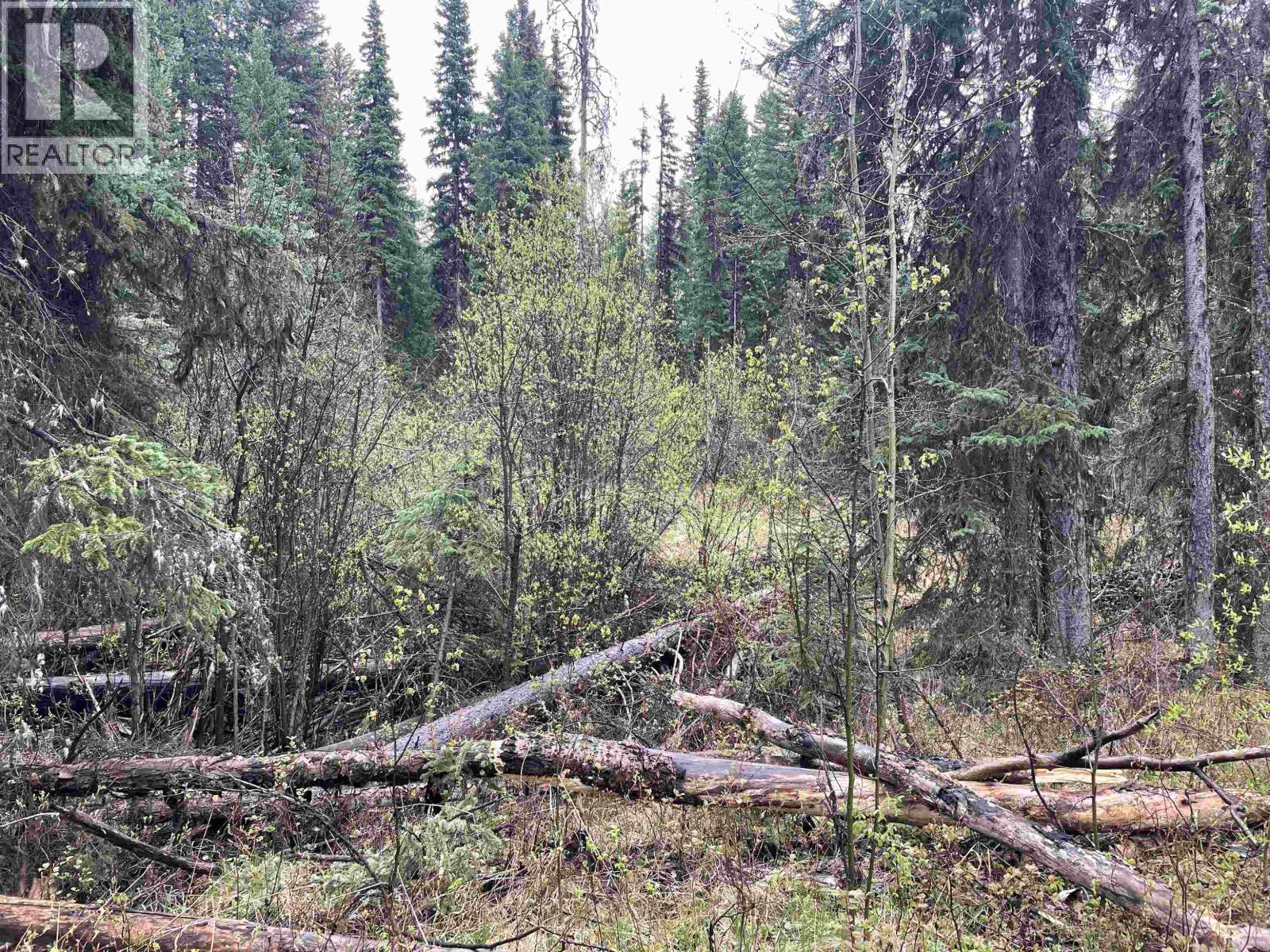 Lot 1 Little Fort 24 Highway, Bridge Lake, British Columbia V0K 1E0 - Photo 12 - R3118252