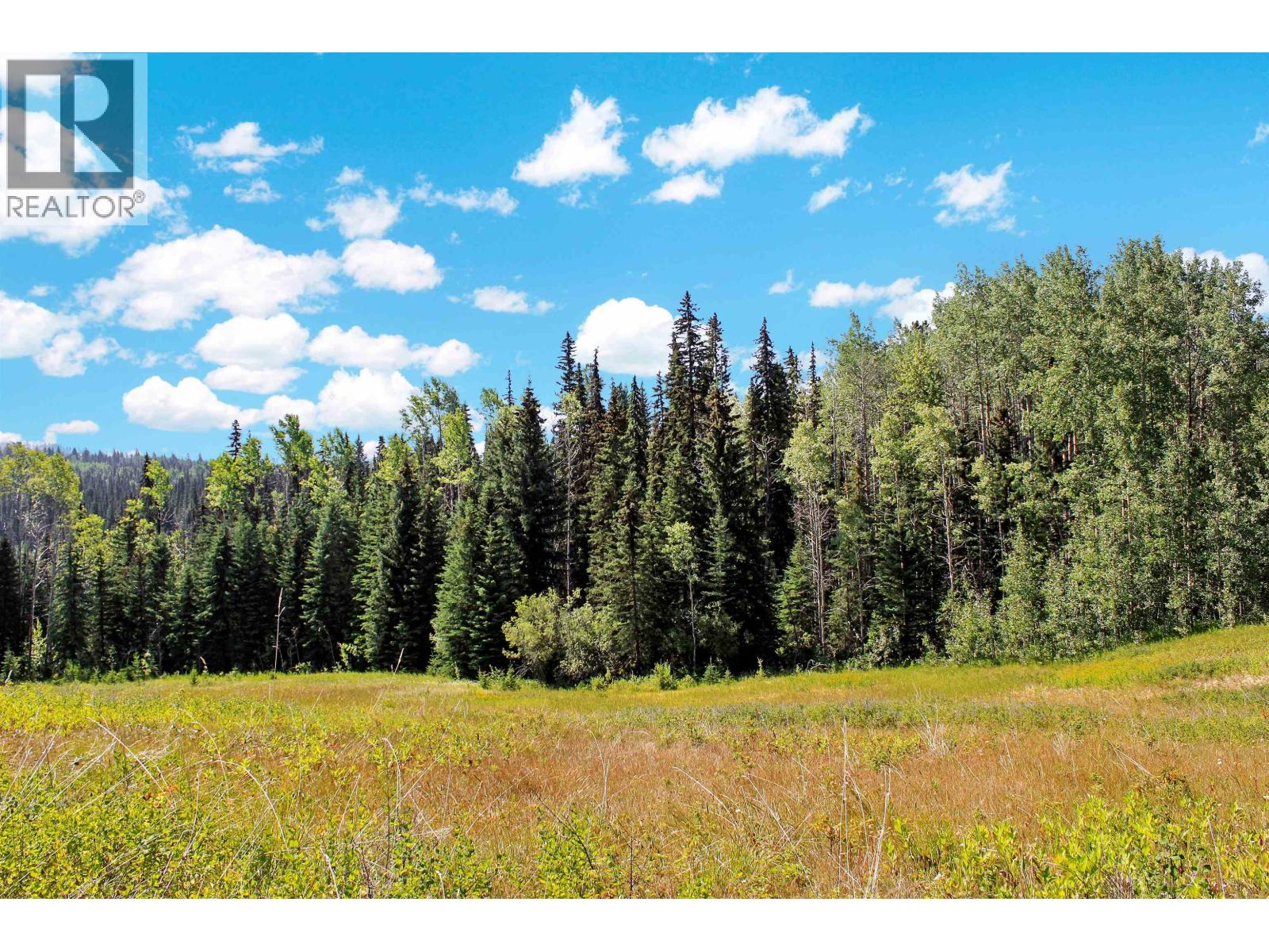 Lot 1 Little Fort 24 Highway, Bridge Lake, British Columbia V0K 1E0 - Photo 13 - R3118252