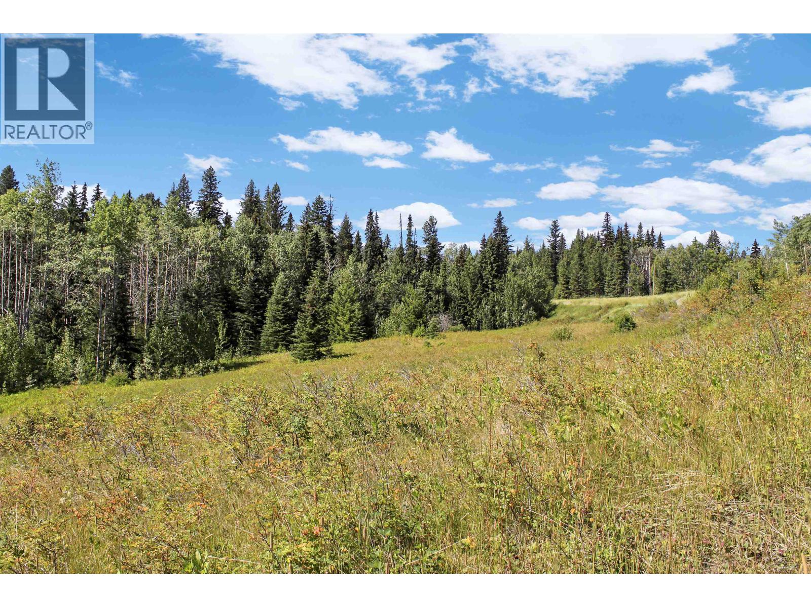 Lot 1 Little Fort 24 Highway, Bridge Lake, British Columbia V0K 1E0 - Photo 18 - R3118252
