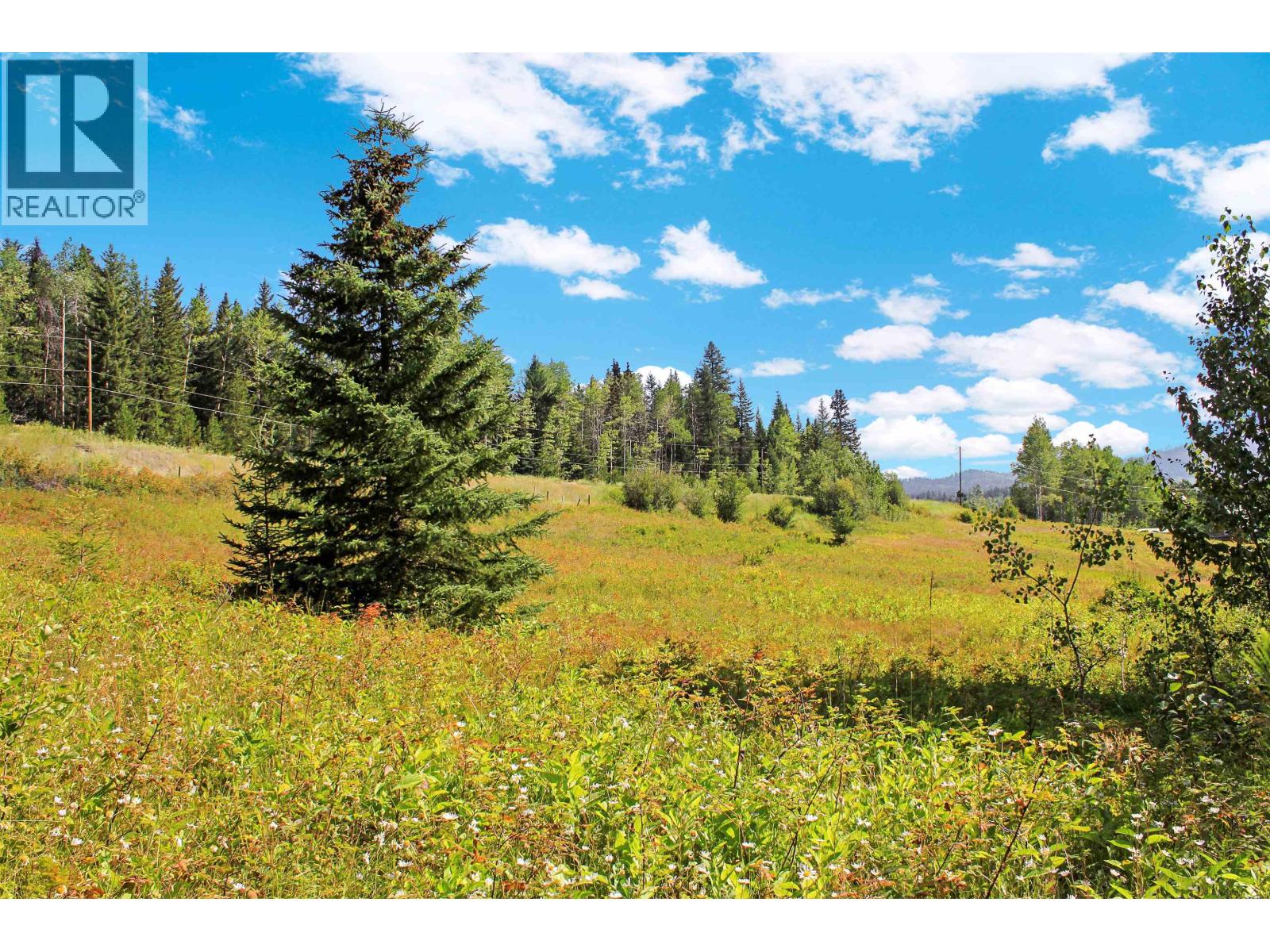 Lot 1 Little Fort 24 Highway, Bridge Lake, British Columbia V0K 1E0 - Photo 25 - R3118252