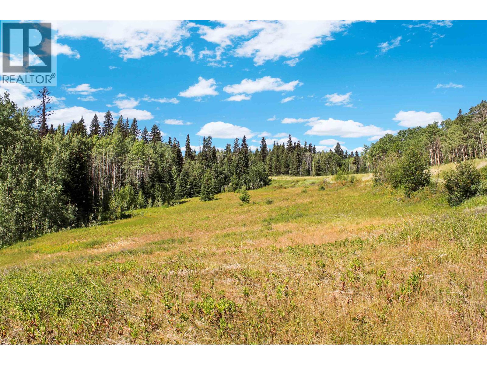 Lot 1 Little Fort 24 Highway, Bridge Lake, British Columbia V0K 1E0 - Photo 6 - R3118252