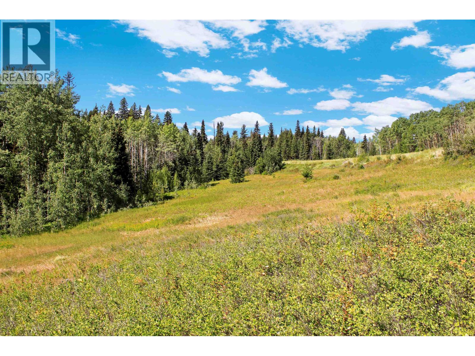 Lot 1 Little Fort 24 Highway, Bridge Lake, British Columbia V0K 1E0 - Photo 7 - R3118252