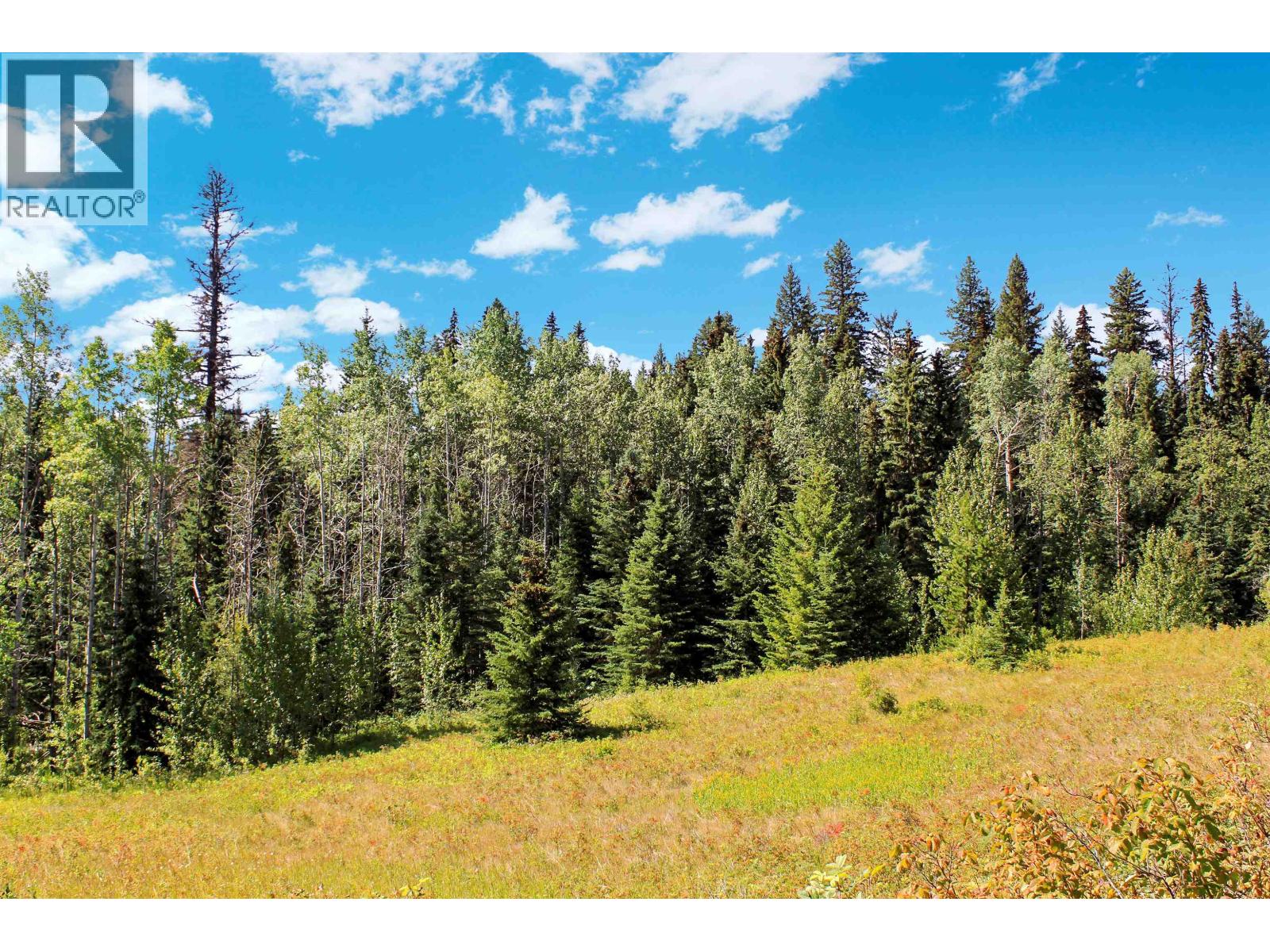 Lot 1 Little Fort 24 Highway, Bridge Lake, British Columbia V0K 1E0 - Photo 11 - R3118252