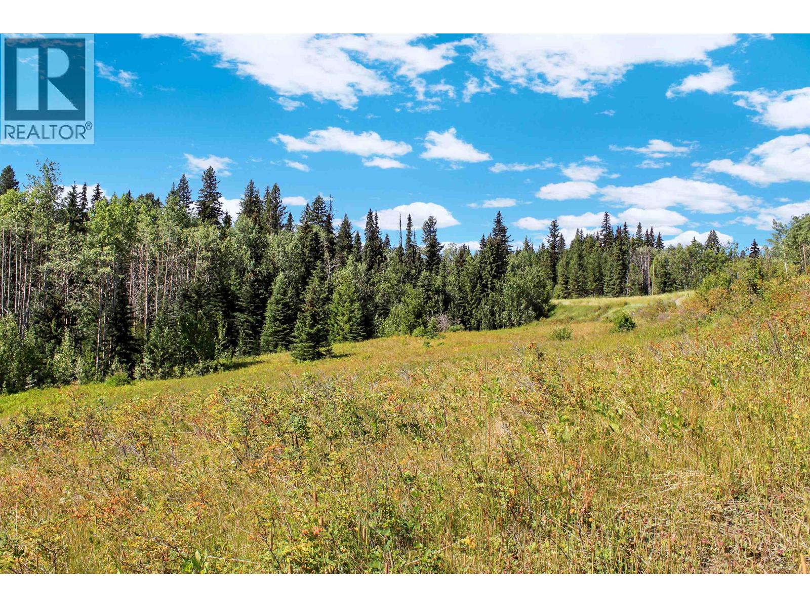 Lot 1 Little Fort 24 Highway, Bridge Lake, British Columbia V0K 1E0 - Photo 17 - R3118252