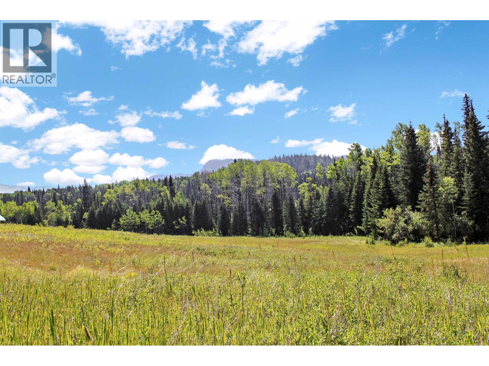 Lot 1 Little Fort 24 Highway, Bridge Lake, British Columbia V0K 1E0 - Photo 19 - R3118252