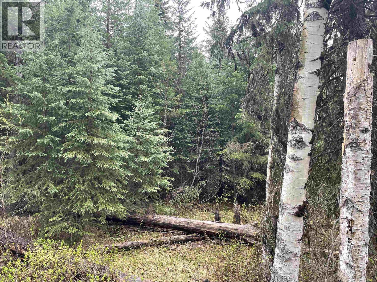 Lot 1 Little Fort 24 Highway, Bridge Lake, British Columbia V0K 1E0 - Photo 9 - R3118252
