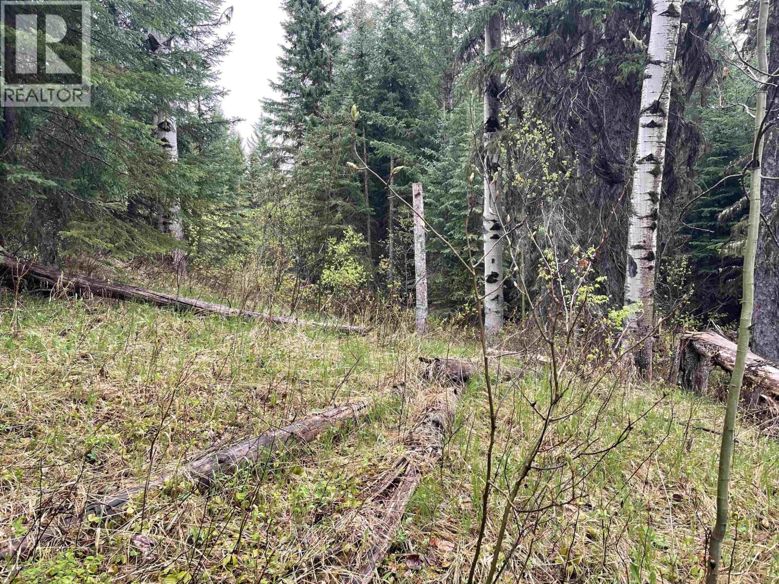 Lot 1 Little Fort 24 Highway, Bridge Lake, British Columbia V0K 1E0 - Photo 23 - R3118252