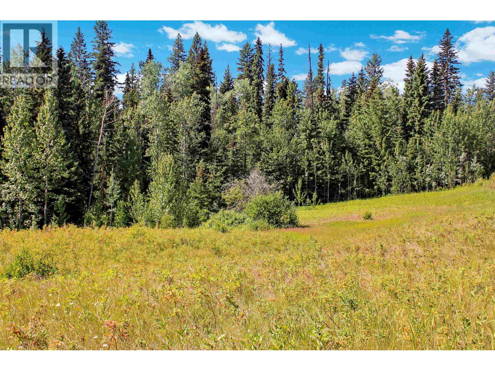 Lot 1 Little Fort 24 Highway, Bridge Lake, British Columbia V0K 1E0 - Photo 24 - R3118252