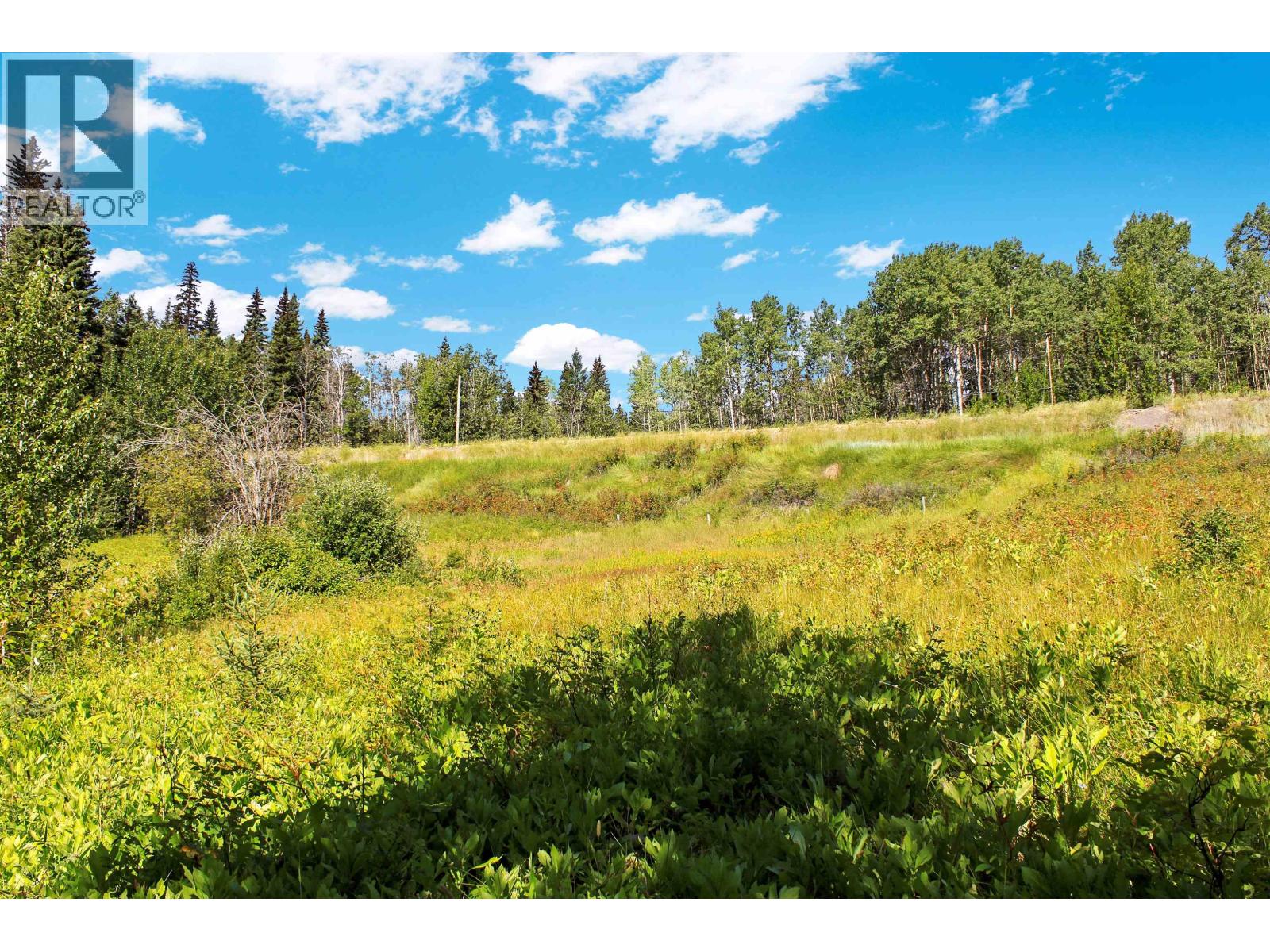 Lot 1 Little Fort 24 Highway, Bridge Lake, British Columbia V0K 1E0 - Photo 20 - R3118252