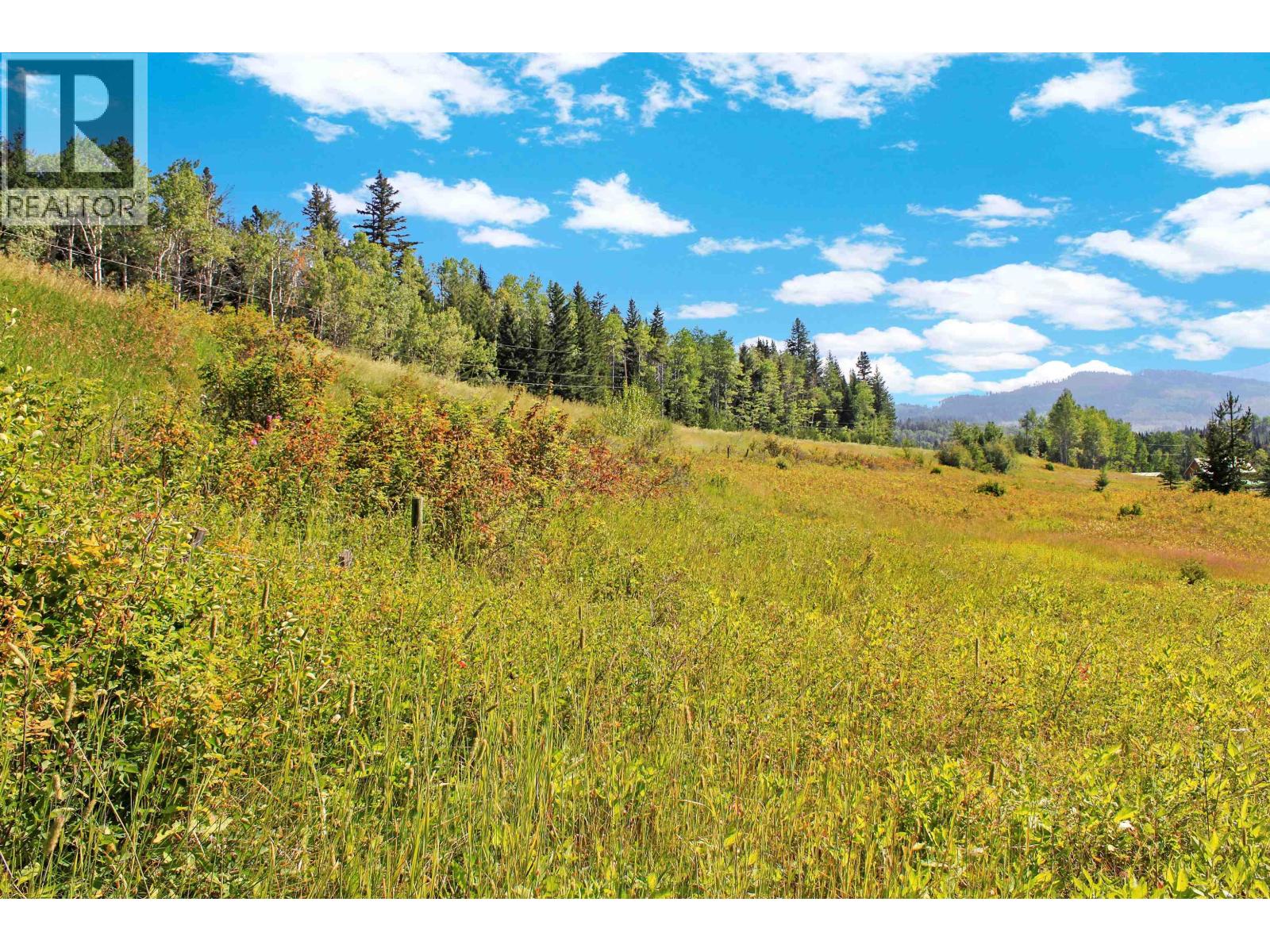Lot 1 Little Fort 24 Highway, Bridge Lake, British Columbia V0K 1E0 - Photo 3 - R3118252