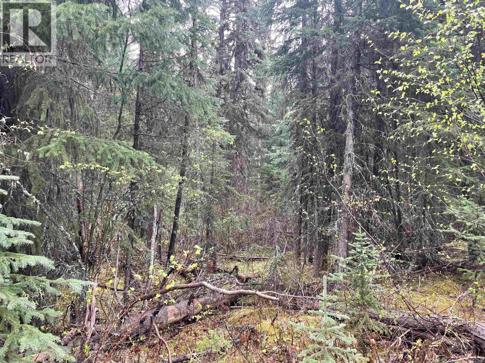 Lot 1 Little Fort 24 Highway, Bridge Lake, British Columbia V0K 1E0 - Photo 15 - R3118252