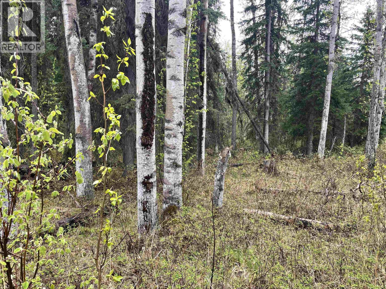 Lot 1 Little Fort 24 Highway, Bridge Lake, British Columbia V0K 1E0 - Photo 2 - R3118252