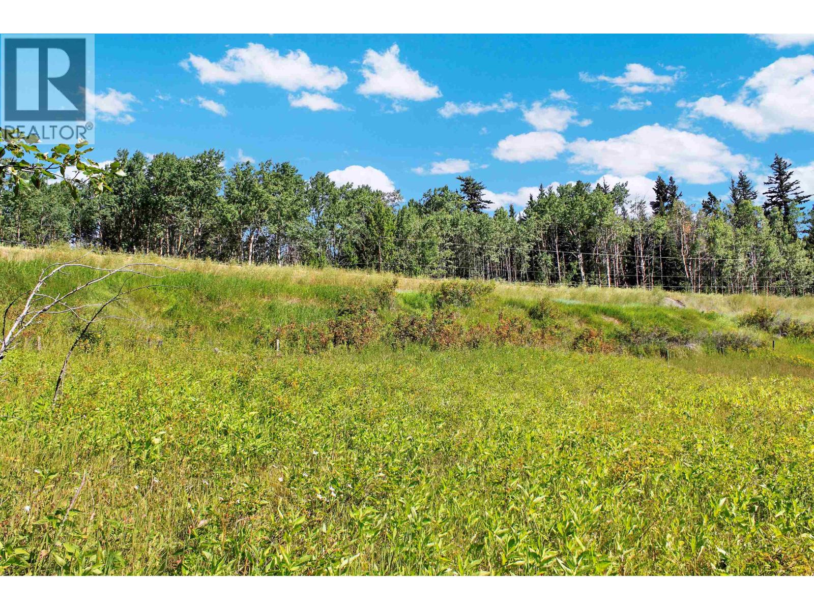 Lot 1 Little Fort 24 Highway, Bridge Lake, British Columbia V0K 1E0 - Photo 21 - R3118252