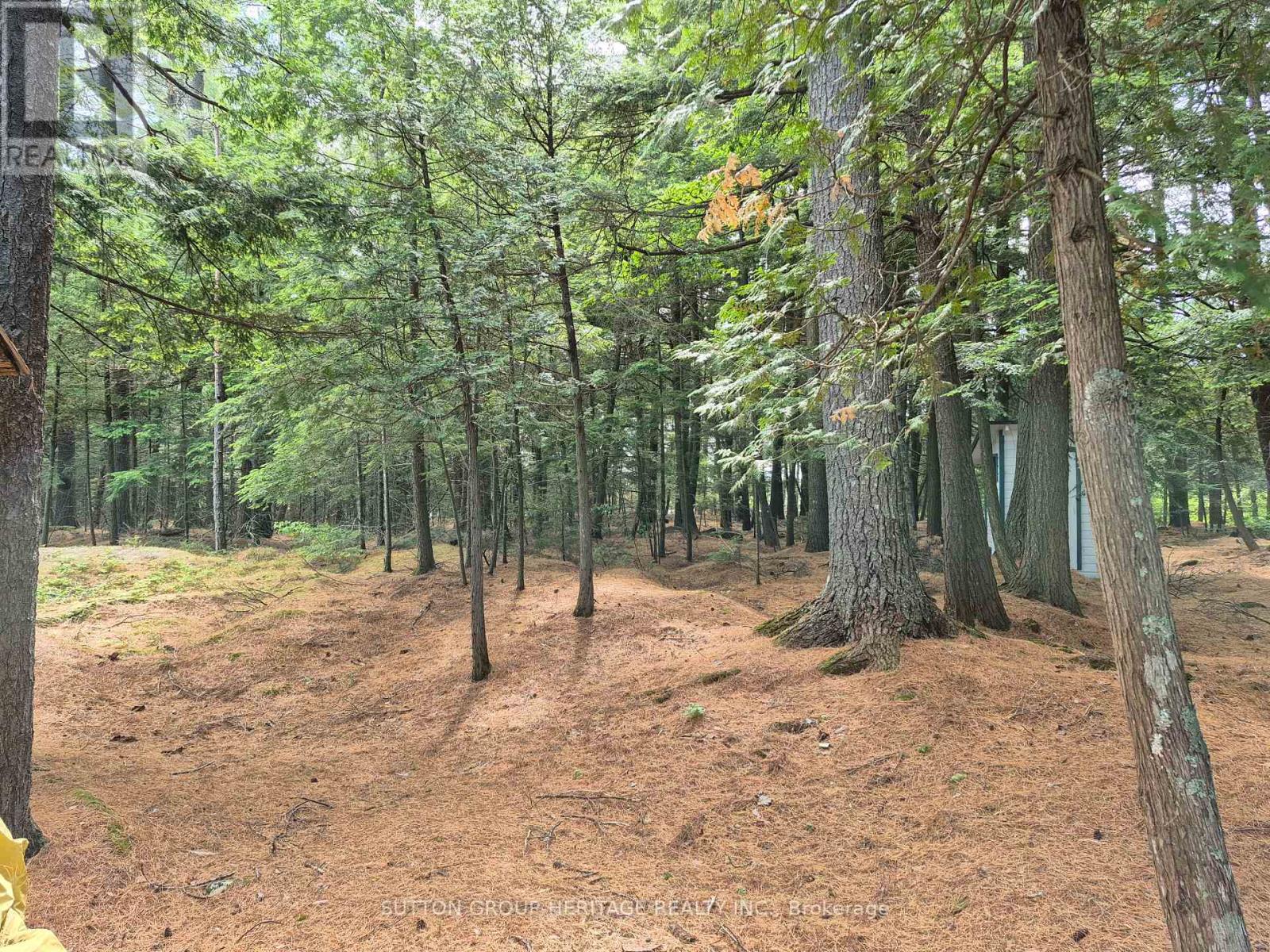 909 Ashby Lake Wa, Addington Highlands, Ontario  K0H 1K0 - Photo 21 - X13127600