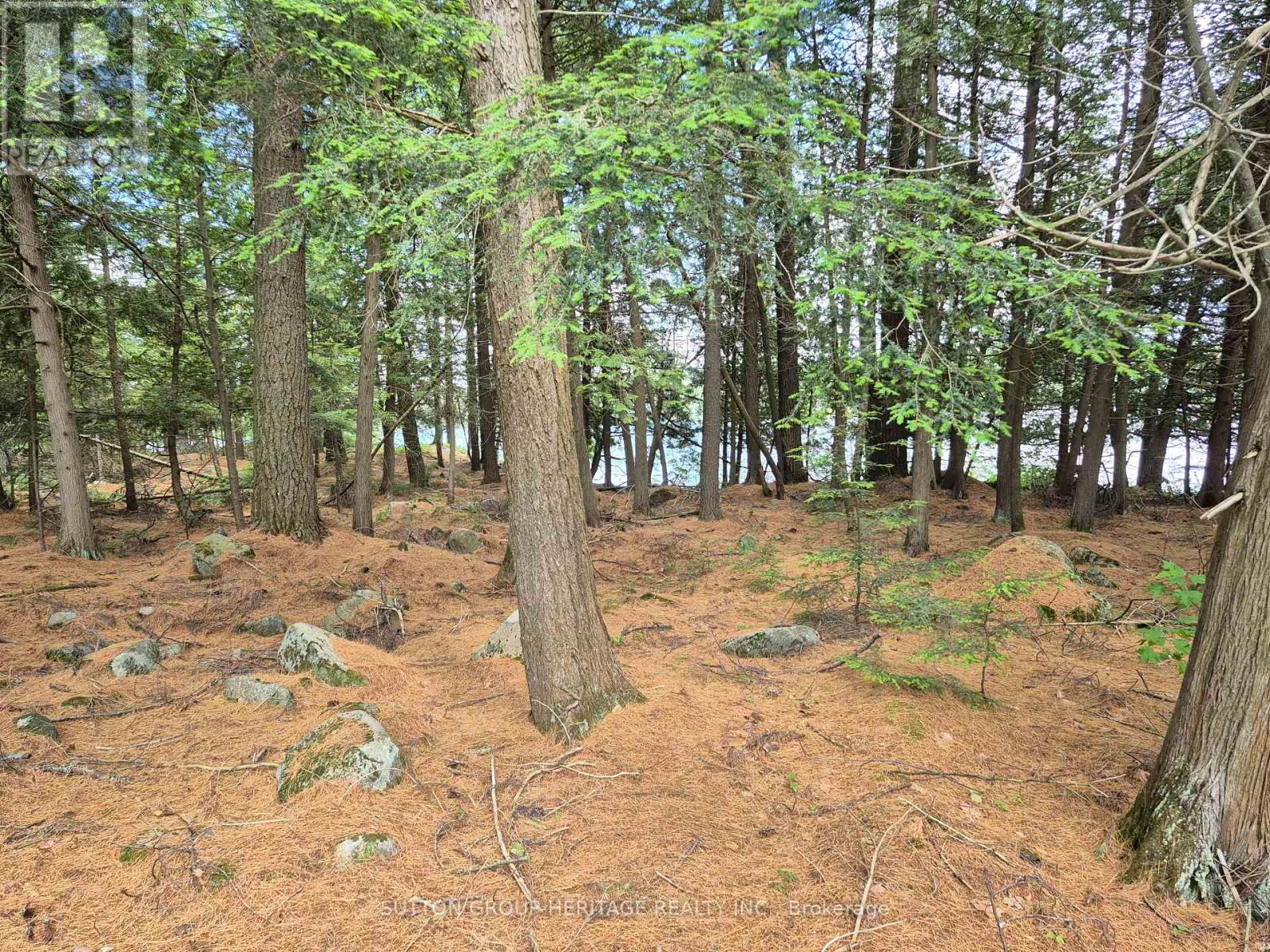 909 Ashby Lake Wa, Addington Highlands, Ontario  K0H 1K0 - Photo 23 - X13127600