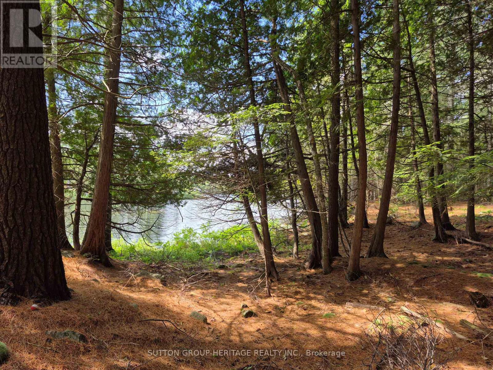 909 Ashby Lake Wa, Addington Highlands, Ontario  K0H 1K0 - Photo 28 - X13127600