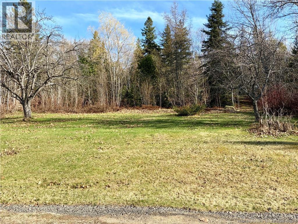 29821 Route 134, Dalhousie Junction, New Brunswick  E3N 5Z9 - Photo 4 - NB136112