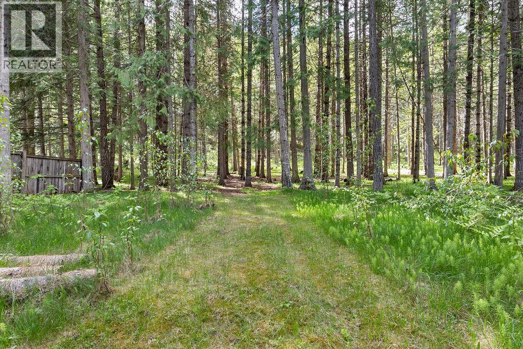 48 Mabel Lake Subdivision Road, Mabel Lake, British Columbia  V0E 1V5 - Photo 44 - 10387411