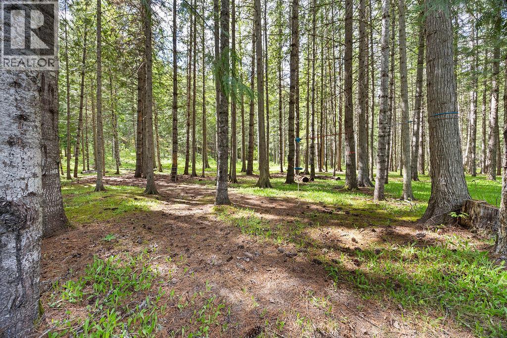 48 Mabel Lake Subdivision Road, Mabel Lake, British Columbia  V0E 1V5 - Photo 45 - 10387411