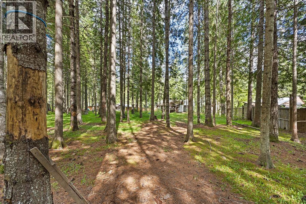 48 Mabel Lake Subdivision Road, Mabel Lake, British Columbia  V0E 1V5 - Photo 46 - 10387411
