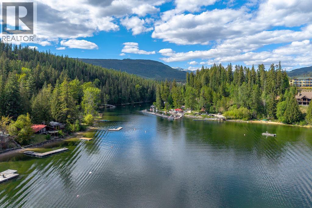 48 Mabel Lake Subdivision Road, Mabel Lake, British Columbia  V0E 1V5 - Photo 59 - 10387411