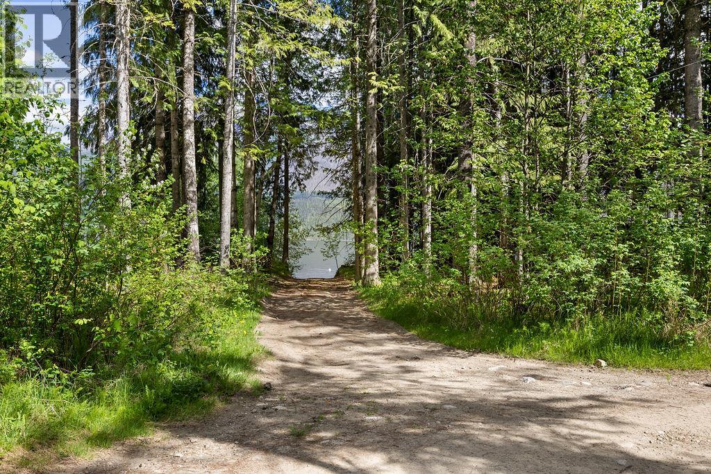 48 Mabel Lake Subdivision Road, Mabel Lake, British Columbia  V0E 1V5 - Photo 67 - 10387411