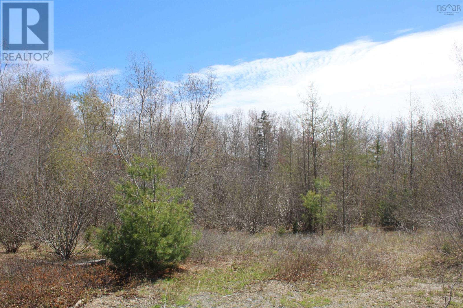 Lot 1 Mary Jane Riley Road, Waldeck, Nova Scotia  B0S 1B0 - Photo 9 - 202610871