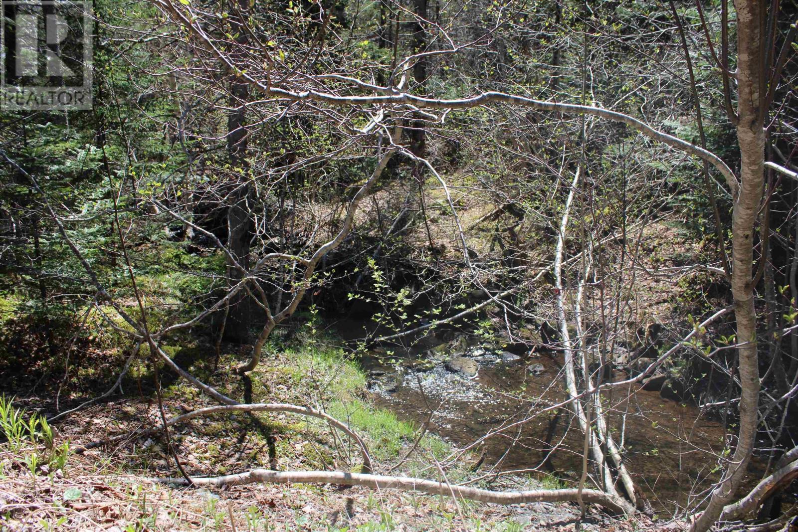 Lot 1 Mary Jane Riley Road, Waldeck, Nova Scotia  B0S 1B0 - Photo 7 - 202610871