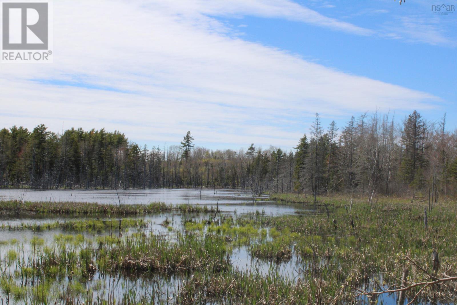 Lot 1 Mary Jane Riley Road, Waldeck, Nova Scotia  B0S 1B0 - Photo 13 - 202610871