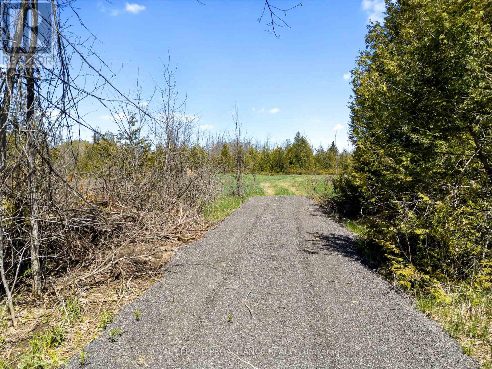 0 Highway 62, Madoc, Ontario  K0K 2K0 - Photo 13 - X13128148