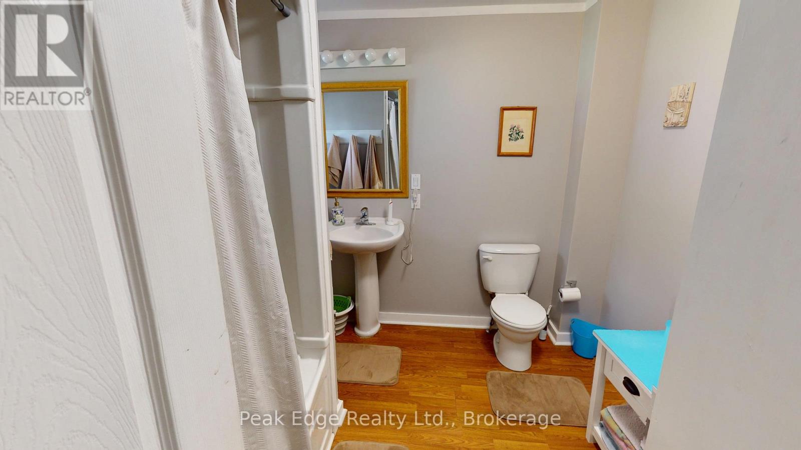 151 Garafraxa Street S, West Grey, Ontario  N0G 1R0 - Photo 18 - X13127984