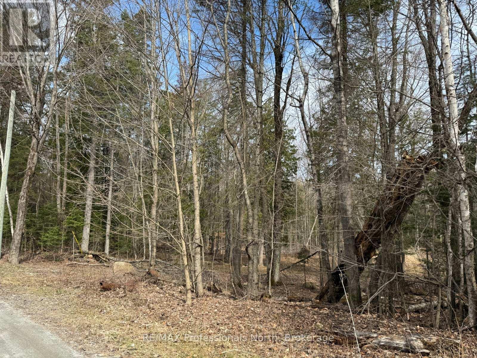 Tbd North Drive, Dysart Et Al, Ontario  K0M 1M0 - Photo 2 - X13128008