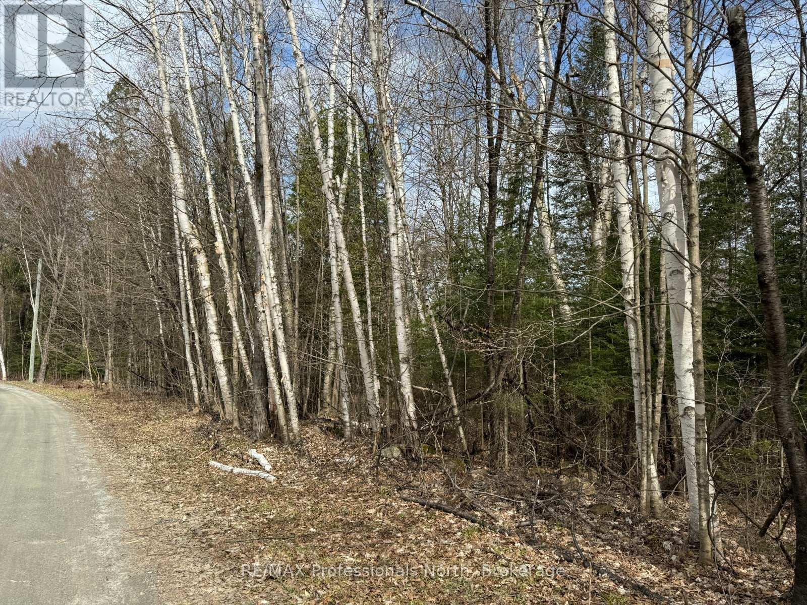 Tbd North Drive, Dysart Et Al, Ontario  K0M 1M0 - Photo 4 - X13128008