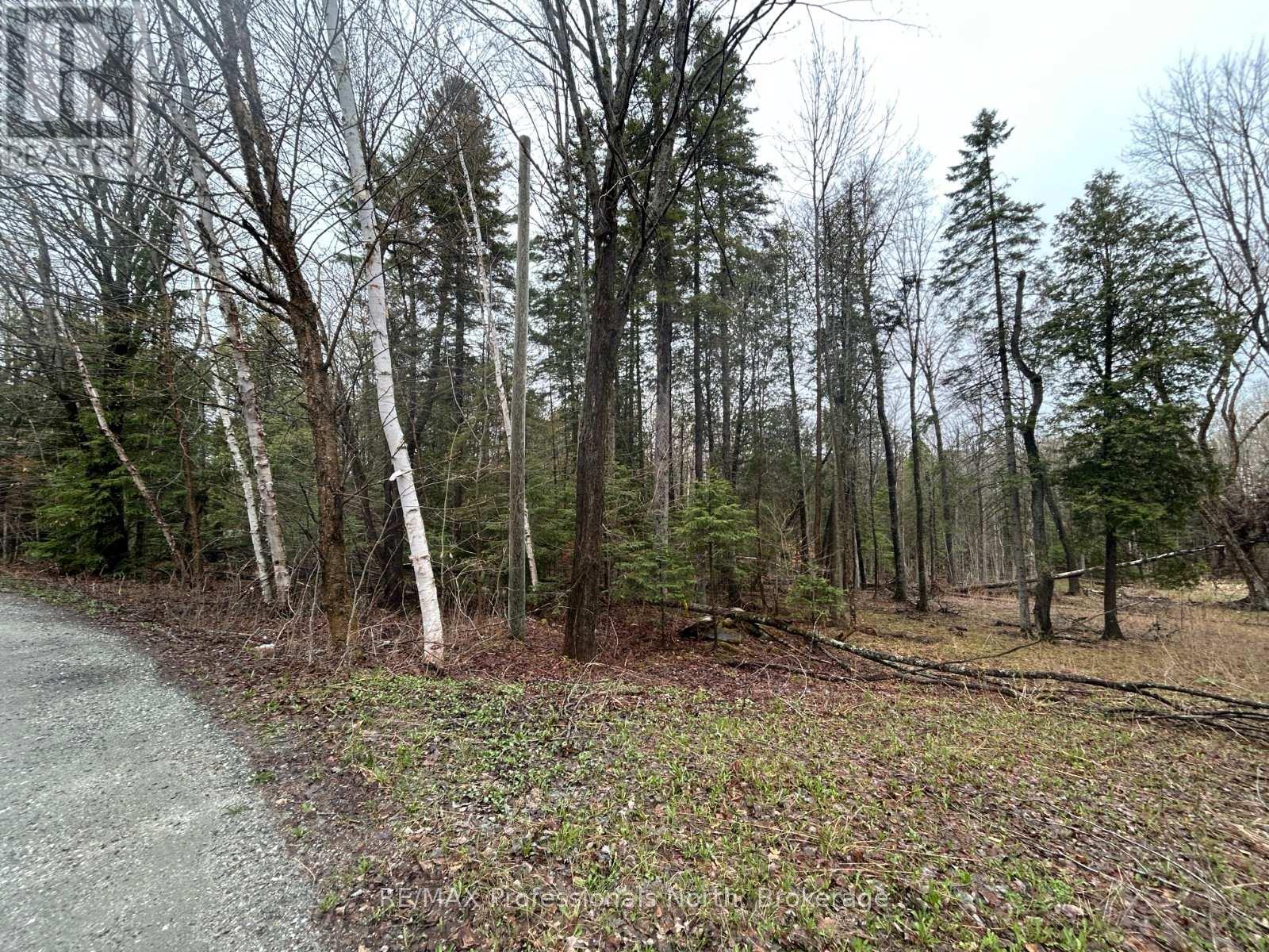 Tbd North Drive, Dysart Et Al, Ontario  K0M 1M0 - Photo 7 - X13128008