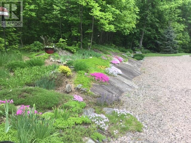 3012 West Shore Road, Dysart Et Al, Ontario  K0M 1S0 - Photo 47 - X13128026