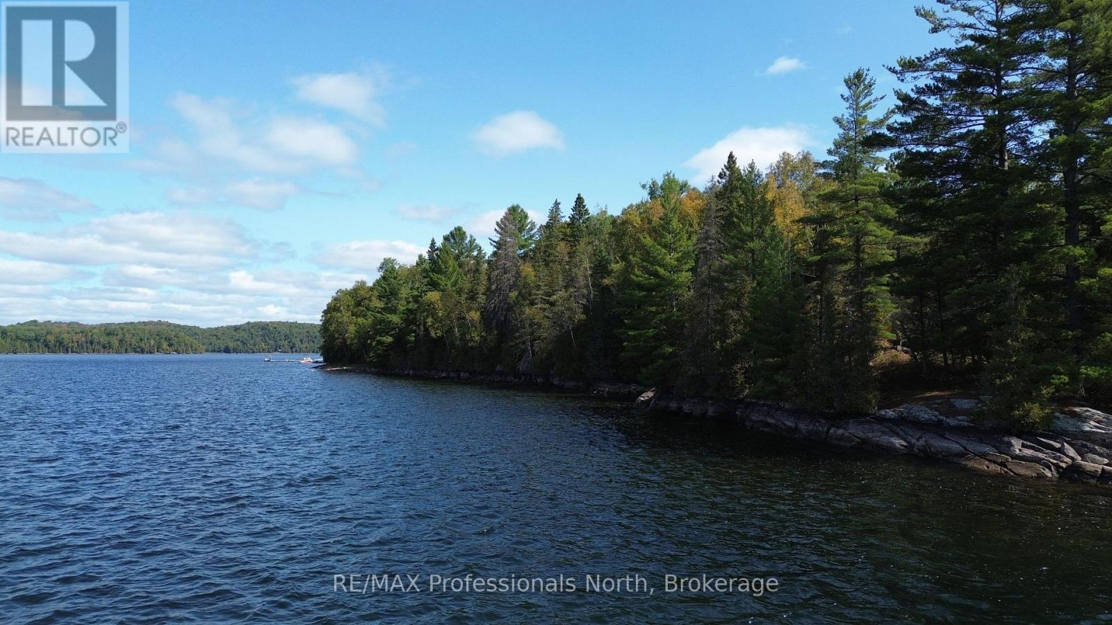 10191 Farquhar South Shore, Dysart Et Al, Ontario  K0M 1S0 - Photo 31 - X13128134