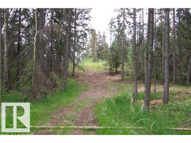 33 57108 Range Road 220, Rural Sturgeon County, Alberta  T0A 2W0 - Photo 3 - E4487660