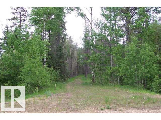 33 57108 Range Road 220, Rural Sturgeon County, Alberta  T0A 2W0 - Photo 4 - E4487660