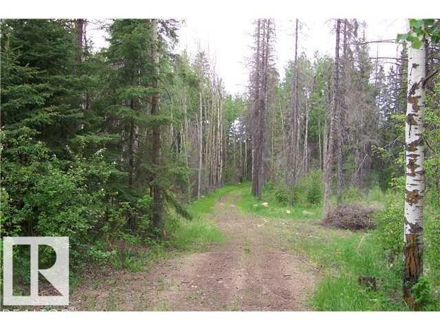 33 57108 Range Road 220, Rural Sturgeon County, Alberta  T0A 2W0 - Photo 6 - E4487660